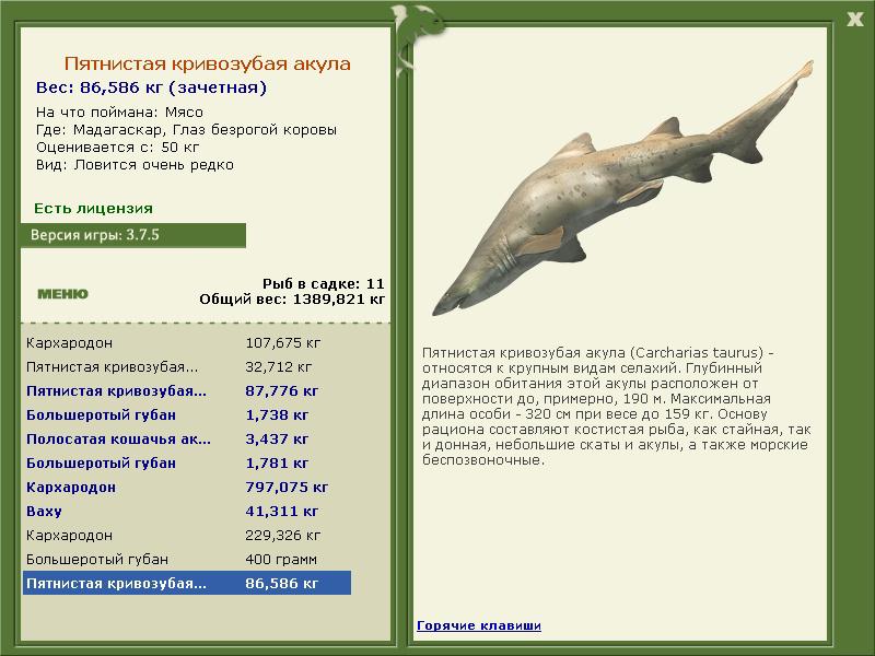 турниры • РУССКАЯ РЫБАЛКА