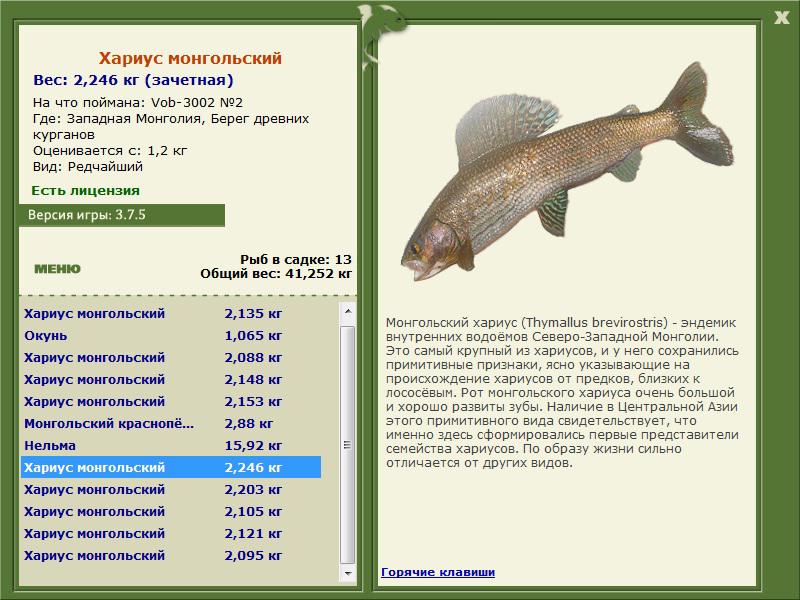 Берег древних курганов 