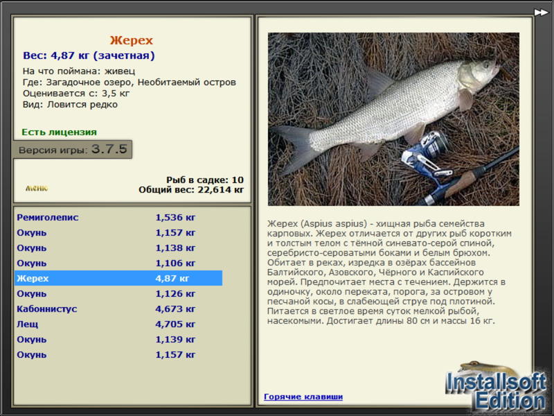Необитаемый остров 