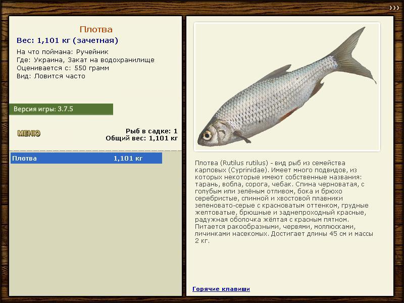 Украина 