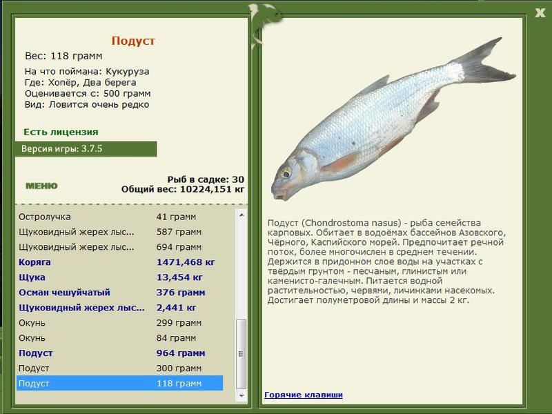 РУССКАЯ РЫБАЛКА Installsoft Edition 
