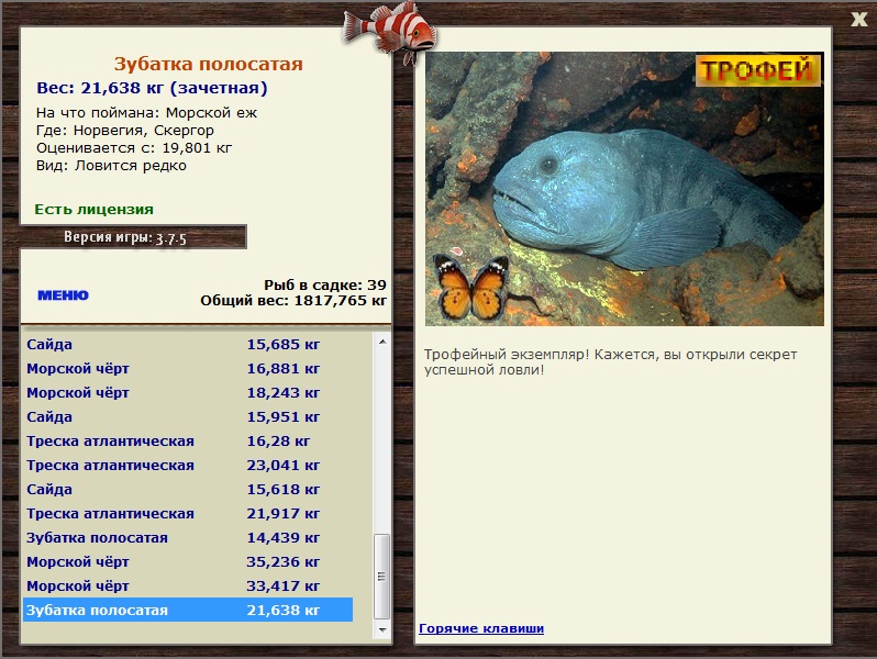 Морской ёж 
