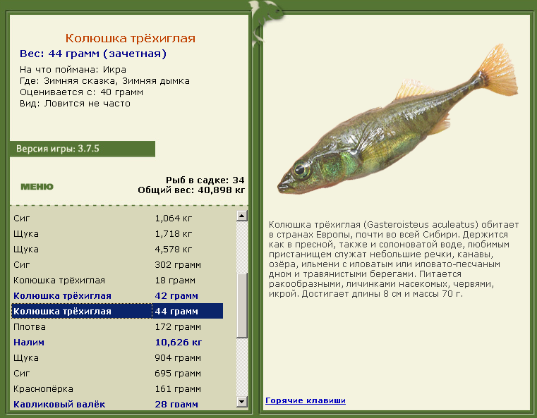 Зимняя дымка 