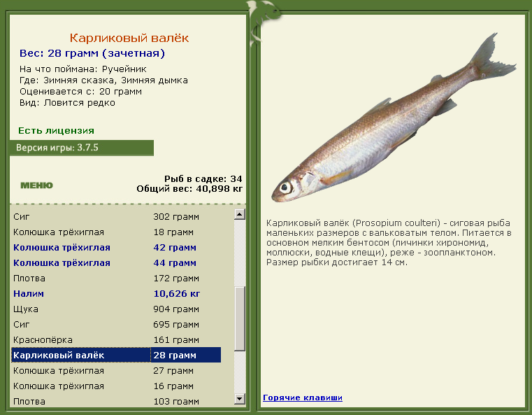Зимняя дымка 