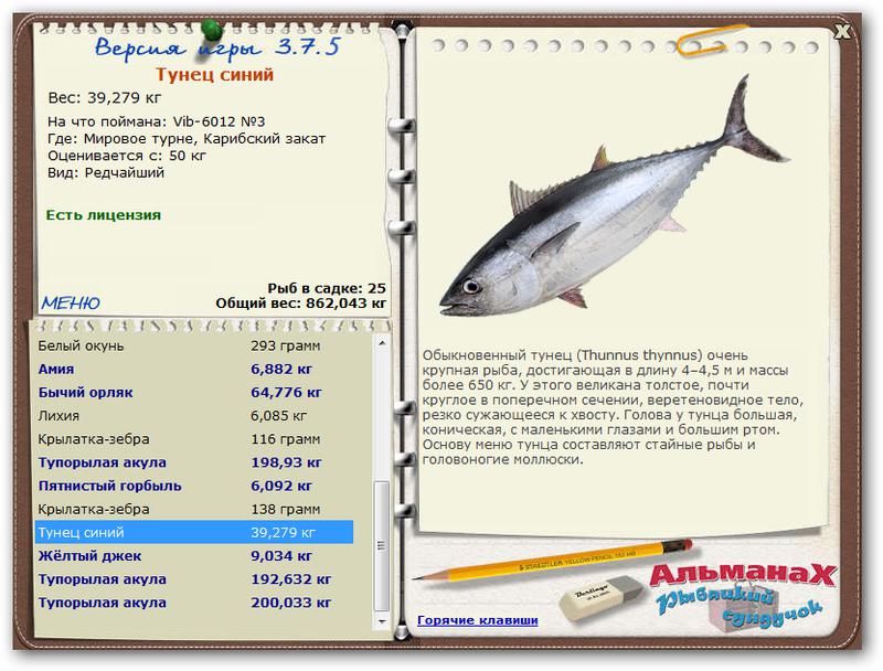 Мировое турне 
