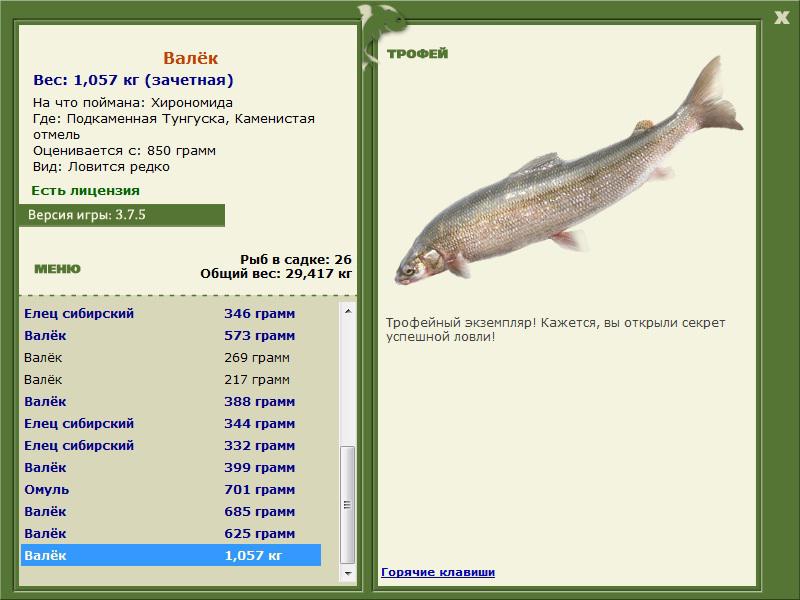 Каменистая отмель 