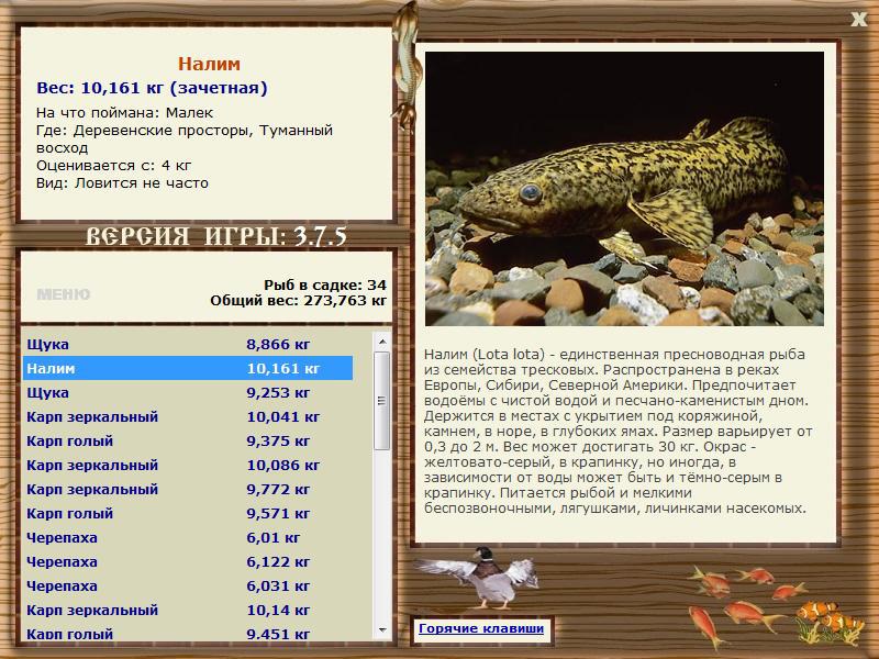 РУССКАЯ РЫБАЛКА Installsoft Edition 