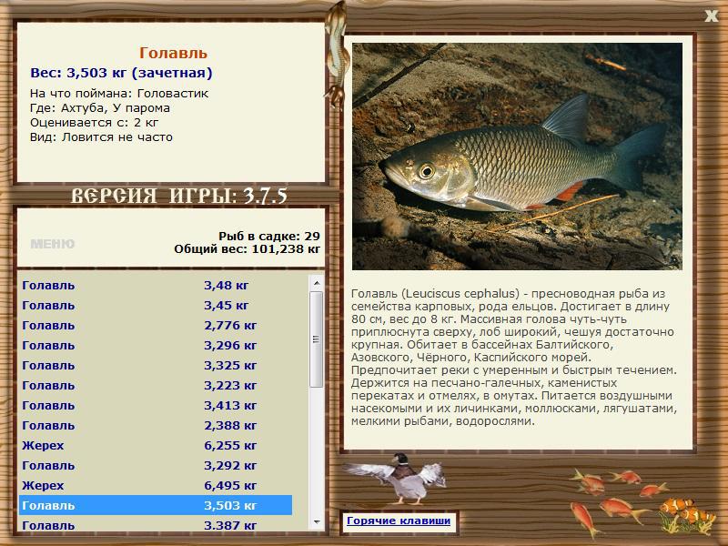 РУССКАЯ РЫБАЛКА Installsoft Edition 