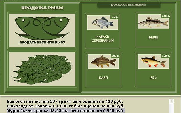Муррейская треска 