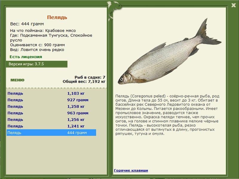 Спокойное русло 