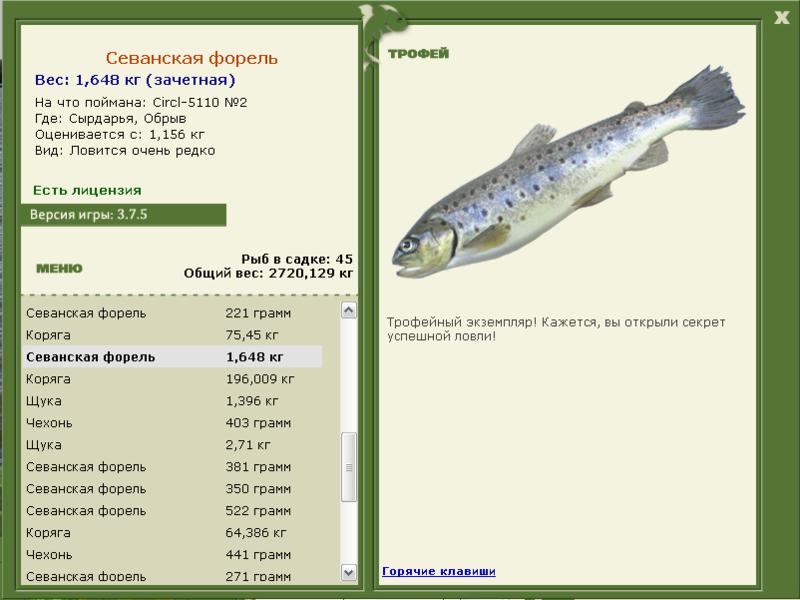 Севанская форель 