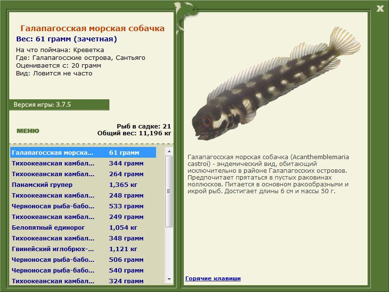 Сантьяго 