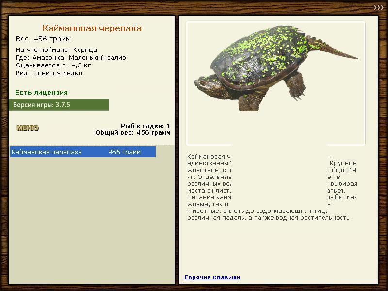Маленький залив 