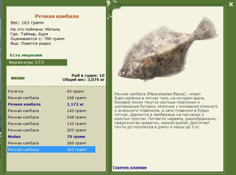 РУССКАЯ РЫБАЛКА Installsoft Edition 