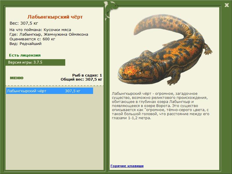 Жемчужина Оймякона 