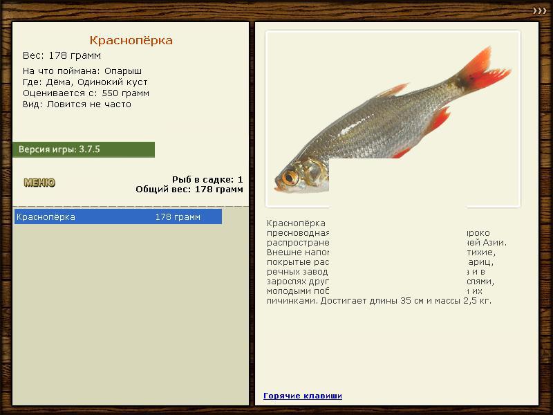 турниры • РУССКАЯ РЫБАЛКА