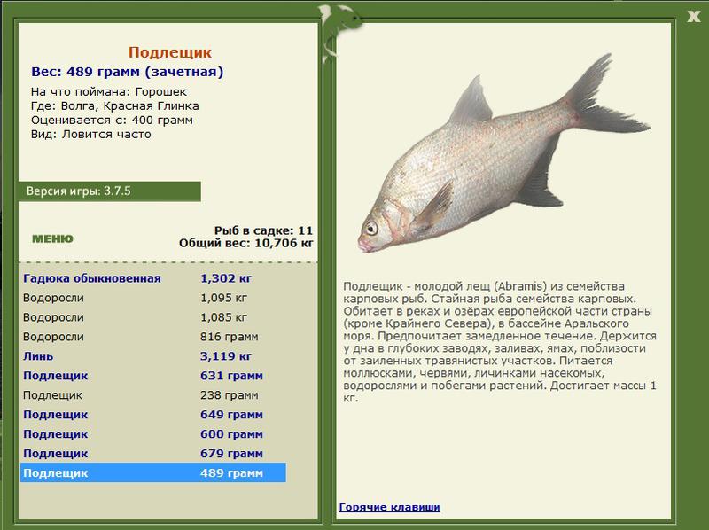 Красная Глинка 