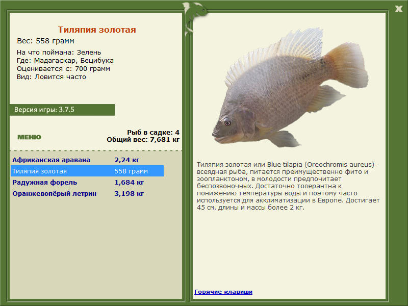 Мадагаскар 