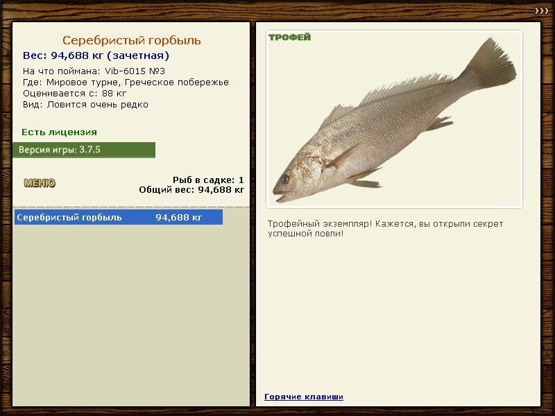 Серебристый горбыль 