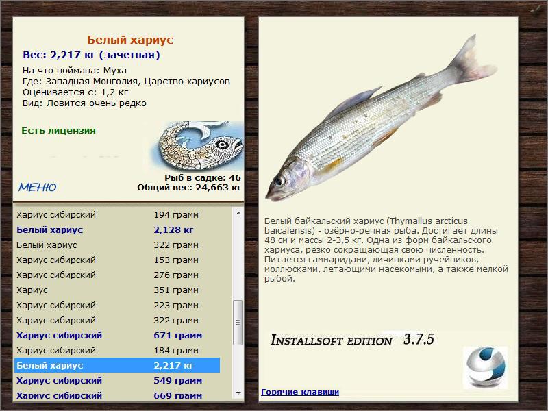 Царство хариусов 