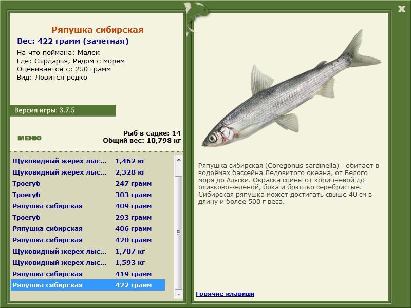 Рядом с морем 