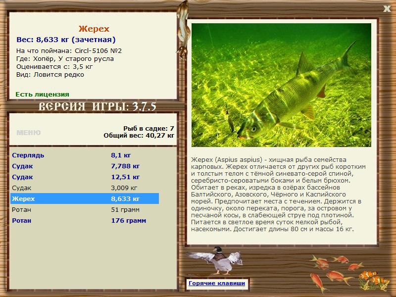 РУССКАЯ РЫБАЛКА Installsoft Edition 