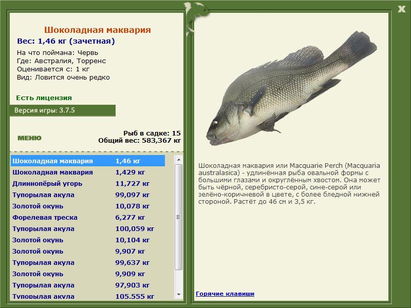 Австралия 