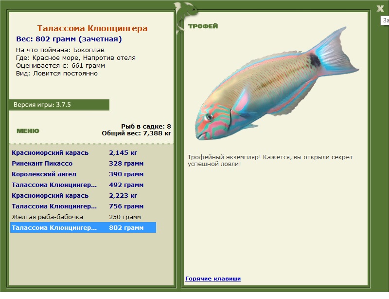 Талассома Клюнцингера 
