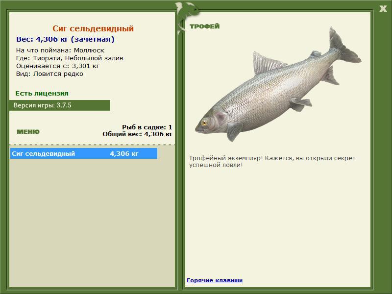 Небольшой залив 