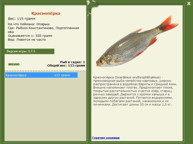 РУССКАЯ РЫБАЛКА Installsoft Edition 