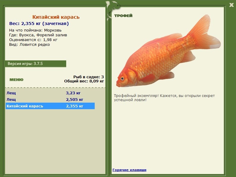 Китайский карась 