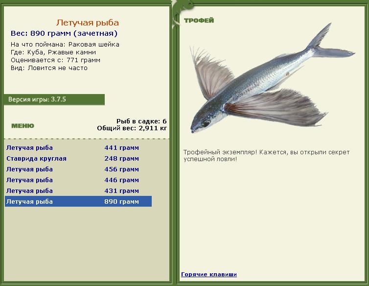 Летучая рыба 