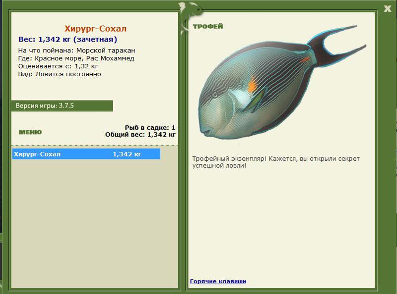РУССКАЯ РЫБАЛКА Installsoft Edition 