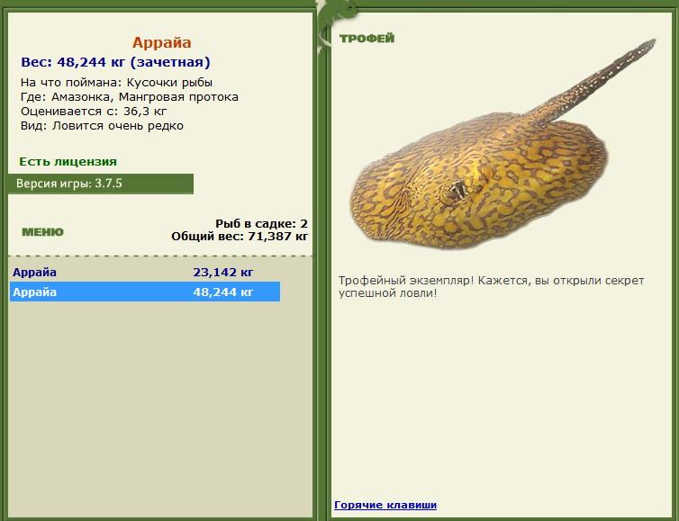 Кусочки рыбы 