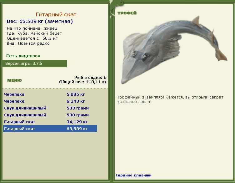 Гитарный скат 