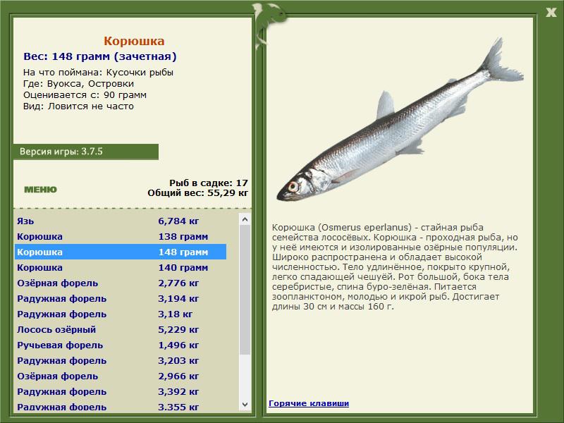 Островки 