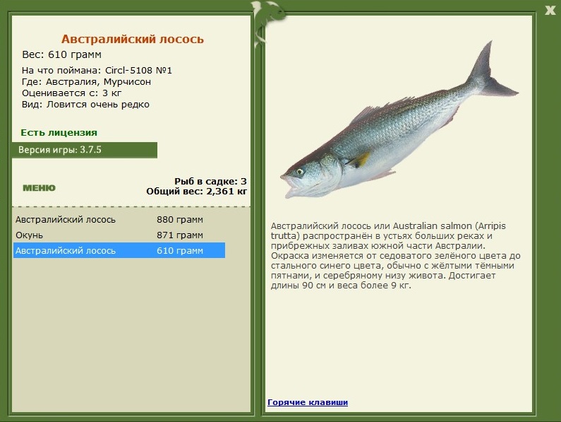 Мурчисон 