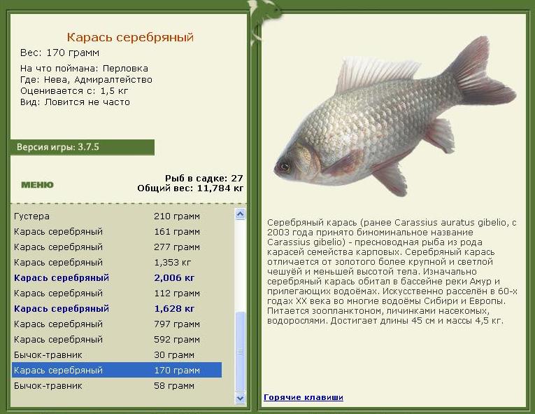 Адмиралтейство 