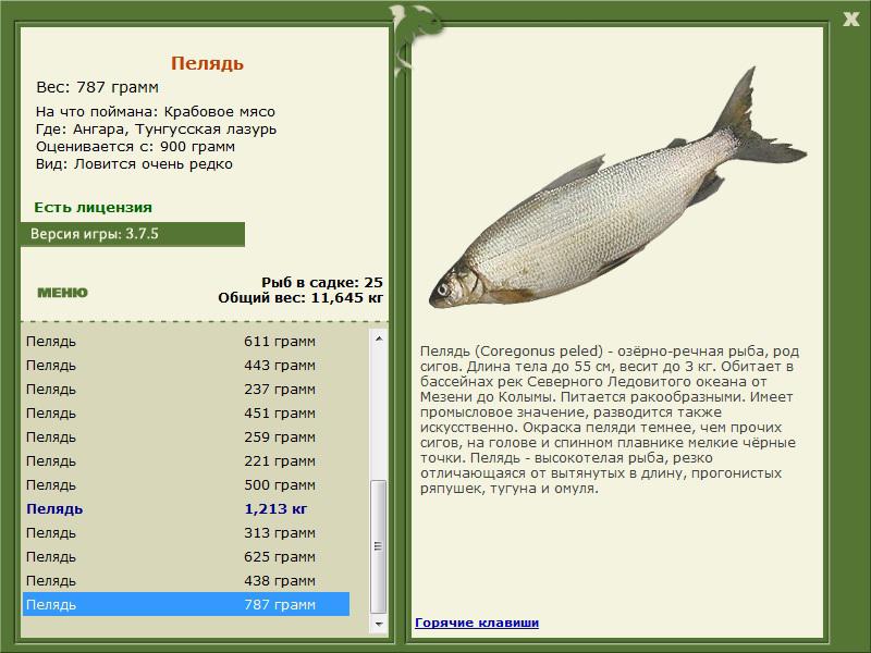 турниры • РУССКАЯ РЫБАЛКА