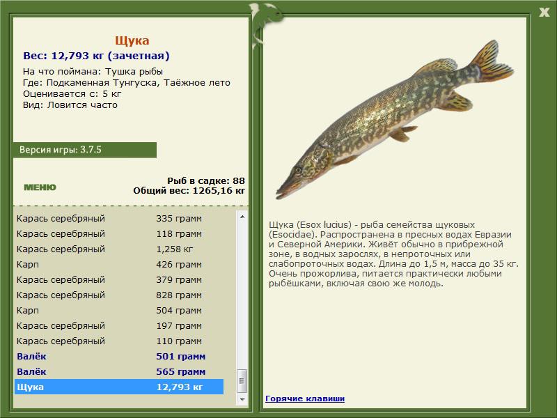 РУССКАЯ РЫБАЛКА Installsoft Edition 