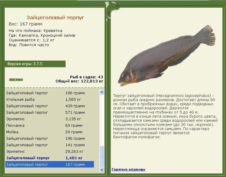 Кроноцкий залив 