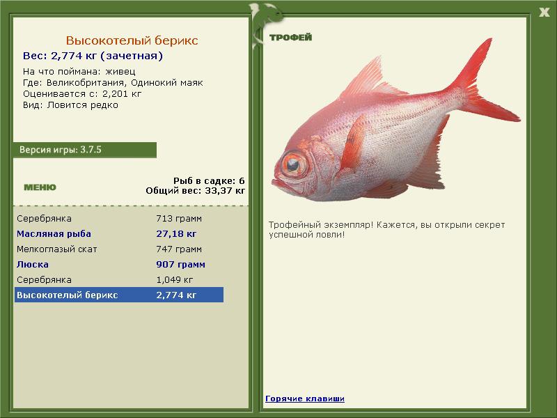 Высокотелый берикс 