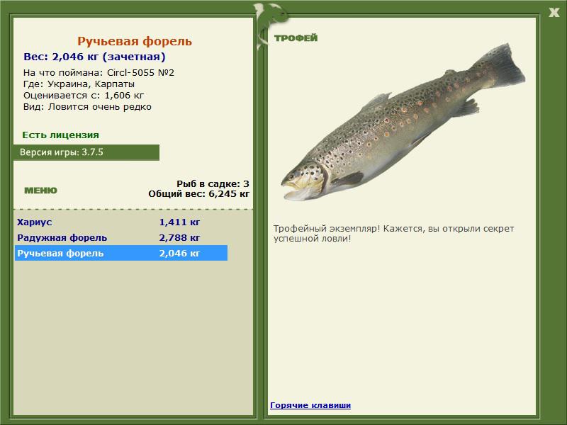 Карпаты 