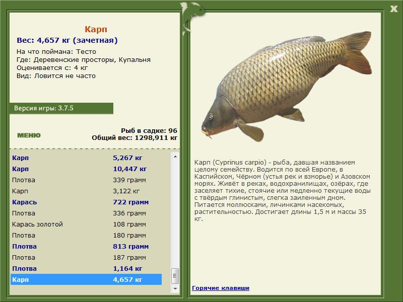 РУССКАЯ РЫБАЛКА Installsoft Edition 