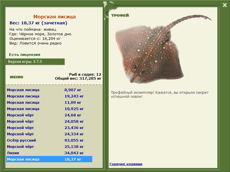 Золотое дно 