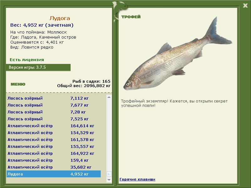 турниры • РУССКАЯ РЫБАЛКА