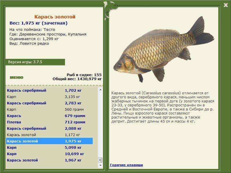 РУССКАЯ РЫБАЛКА Installsoft Edition 