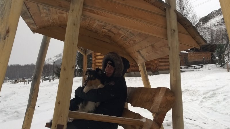 ФОРУМ ЛЮБИТЕЛЕЙ КОЛЛИ И ШЕЛТИ 
