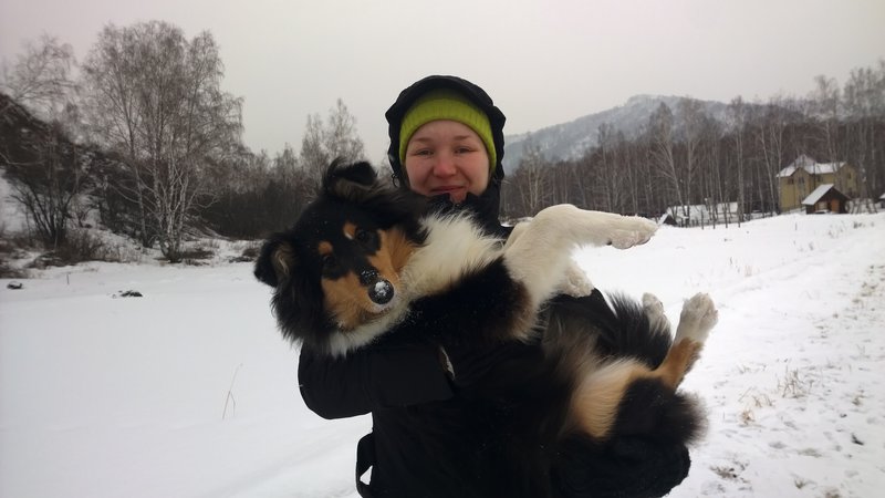 ФОРУМ ЛЮБИТЕЛЕЙ КОЛЛИ И ШЕЛТИ 