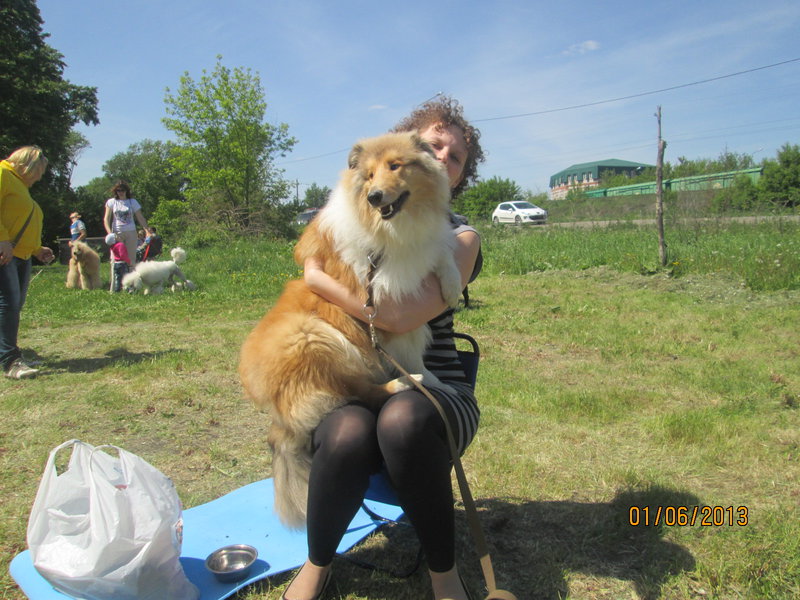  Рыжий Бегун